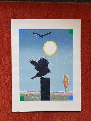 Harrie Gerritz - Balans in de natuur kopen? Bied vanaf 20!