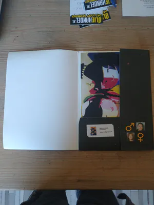 Martine Jacobs - Print Origamigirls kopen? Bied vanaf 1!