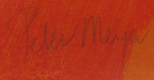 Peter Meijer - Zeefdruk, Aurora borealis - Ingelijst (Groot) kopen? Bied vanaf 50!