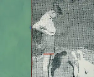 Erwin van Krey - Franzl kopen? Bied vanaf 150!