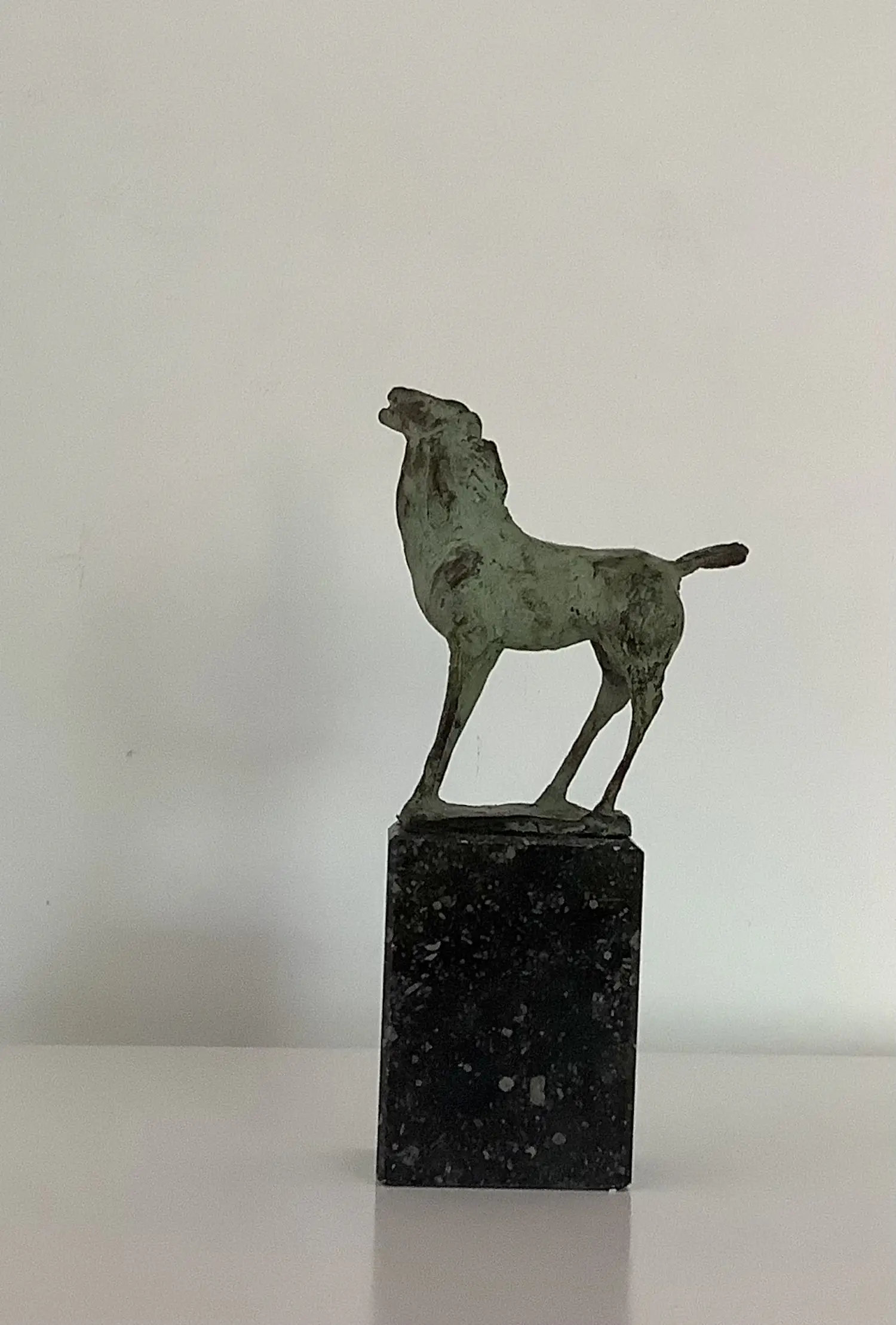 Saskia Pfaeltzer (1955)