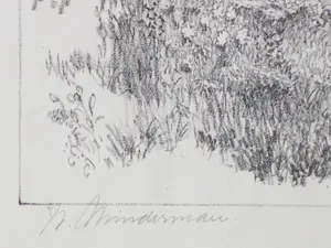 Willem Minderman - Canne - Litho kopen? Bied vanaf 40!