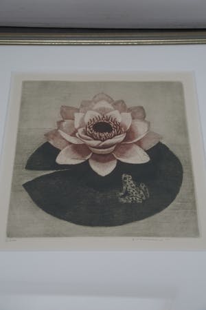 Emilie Tomanova - Kikker op lelie kopen? Bied vanaf 5!