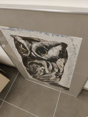 Alfons Van Meirvenne - Aquarel uil kopen? Bied vanaf 500!