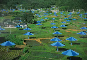 Christo - C-Print, The Umbrellas kopen? Bied vanaf 1!