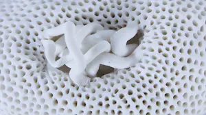 Kathja Smits - Porselein, Vogeltjes kopen? Bied vanaf 100!