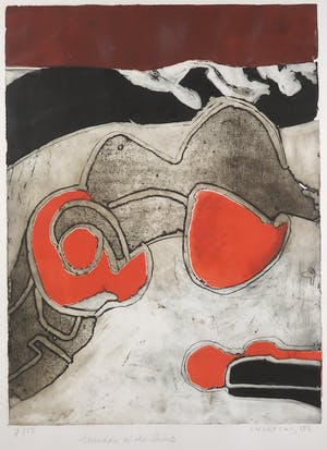 Cees Kortlang - Kleurenets, Meadow of the Saints - Ingelijst kopen? Bied vanaf 60!