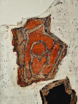 Cees Kortlang - Grote handgekleurde reliëf Ets/aquatint - potloodges. - zeer kleine oplage (10) kopen? Bied vanaf 59!