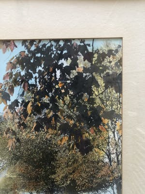 Geoffrey Cameron Wood - Moller Fountain – Nelson kopen? Bied vanaf 5!