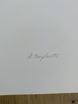 Karin Borghouts - Gesigneerd Tweeluik kopen? Bied vanaf 60!