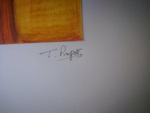 Ton Pape - Figuren. kopen? Bied vanaf 25!