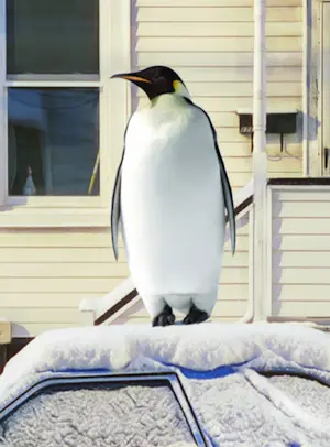 Mr. Strange - IJskeizers kopen? Bied vanaf 80!