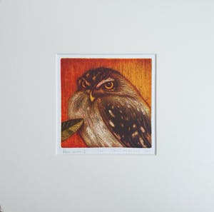 Toni de Klerk - Ets, Titel Athene noctua II kopen? Bied vanaf 25!