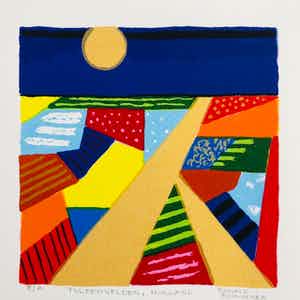 Ronald Boonacker - Tulpenvelden, Holland verkocht voor € 45!