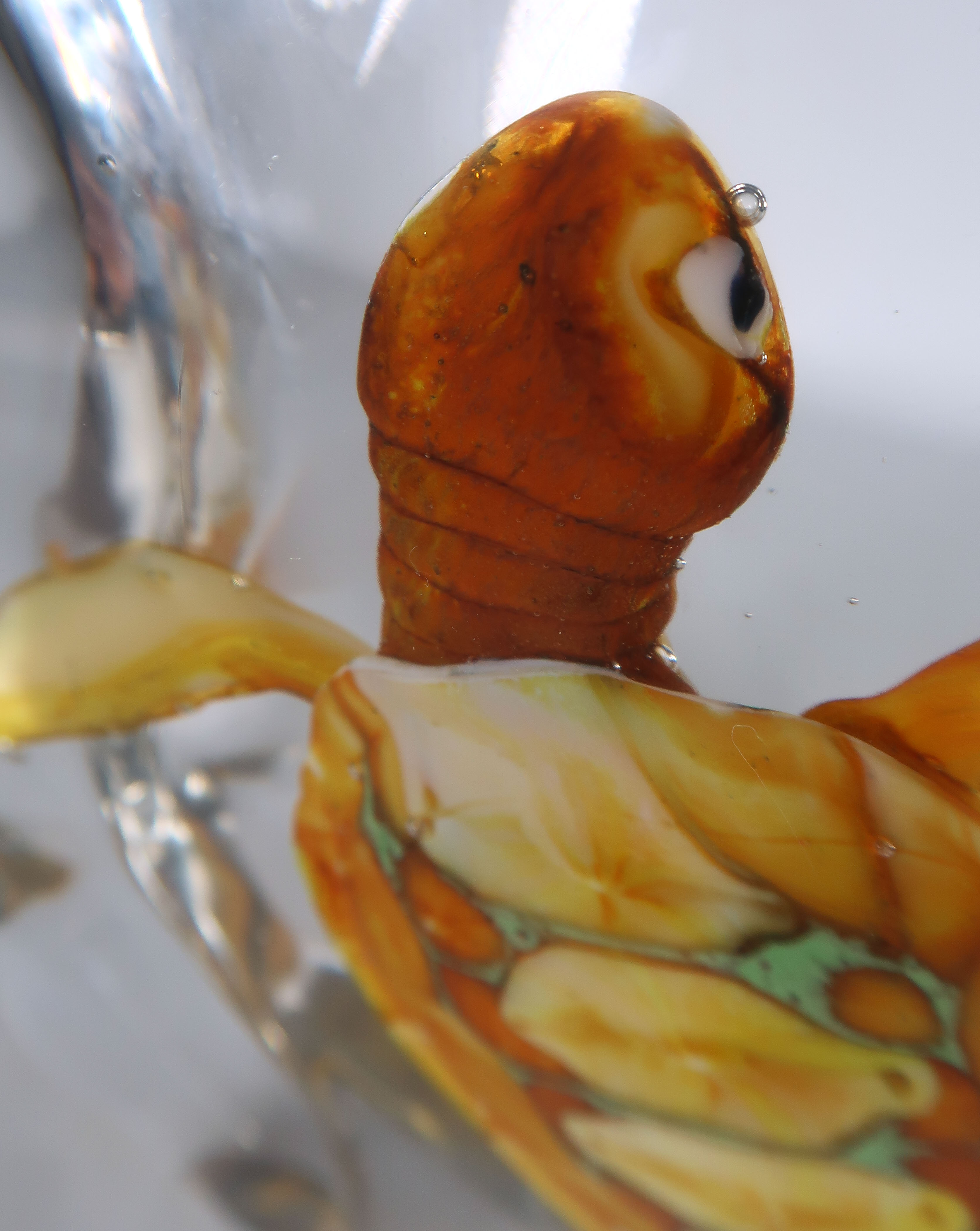 Pino Signoretto - Glas unica, Handgevormde schildpad omsloten door glas (Zwaar) kopen? Bied vanaf 1000!