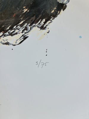 Theo Onnes - Cow - gesigneerd - 75 ex - groot kopen? Bied vanaf 1!