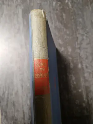 Rembrandt van Rijn - De Etsen van Rembrandt kopen? Bied vanaf 30!