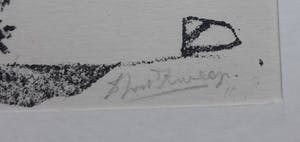 Douwe Jan van der Zweep - Zwanen kopen? Bied vanaf 5!