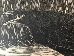 Jan Mankes - Houtsnede Zwarte Kraai - Gesigneerd - 1918 kopen? Bied vanaf 395!