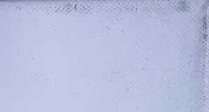 Cobi Nieuwstad - Acryl op doek, Tuinserie kopen? Bied vanaf 60!