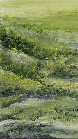 Joost Erftemeijer - Landschap kopen? Bied vanaf 80!