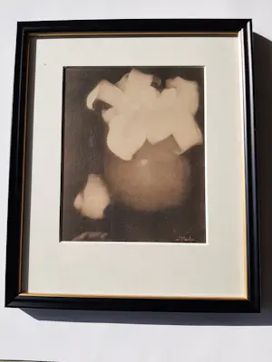 Jan Mankes - Originele Heliogravure , Aronskelken 1923 kopen? Bied vanaf 60!