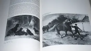 Otto Eerelman - Monografie 2012 & 1989 kopen? Bied vanaf 65!