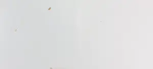 Janusz Antoszczyk - Zeefdruk, Dziennik for ever - Ingelijst (Groot) kopen? Bied vanaf 1!