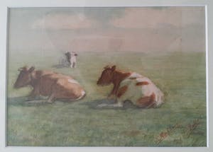 Evert Rabbers - Koeien in het gras. kopen? Bied vanaf 85!