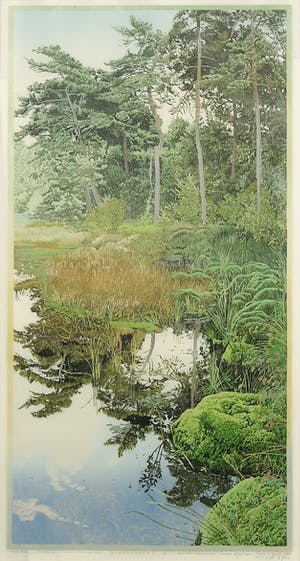 Siemen Dijkstra - Houtsnede, Zomerbos (rimpeling in verder roerloos ven) - Ingelijst kopen? Bied vanaf 100!
