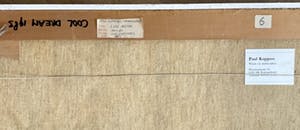 Paul Koppers - Cool Dream kopen? Bied vanaf 20!