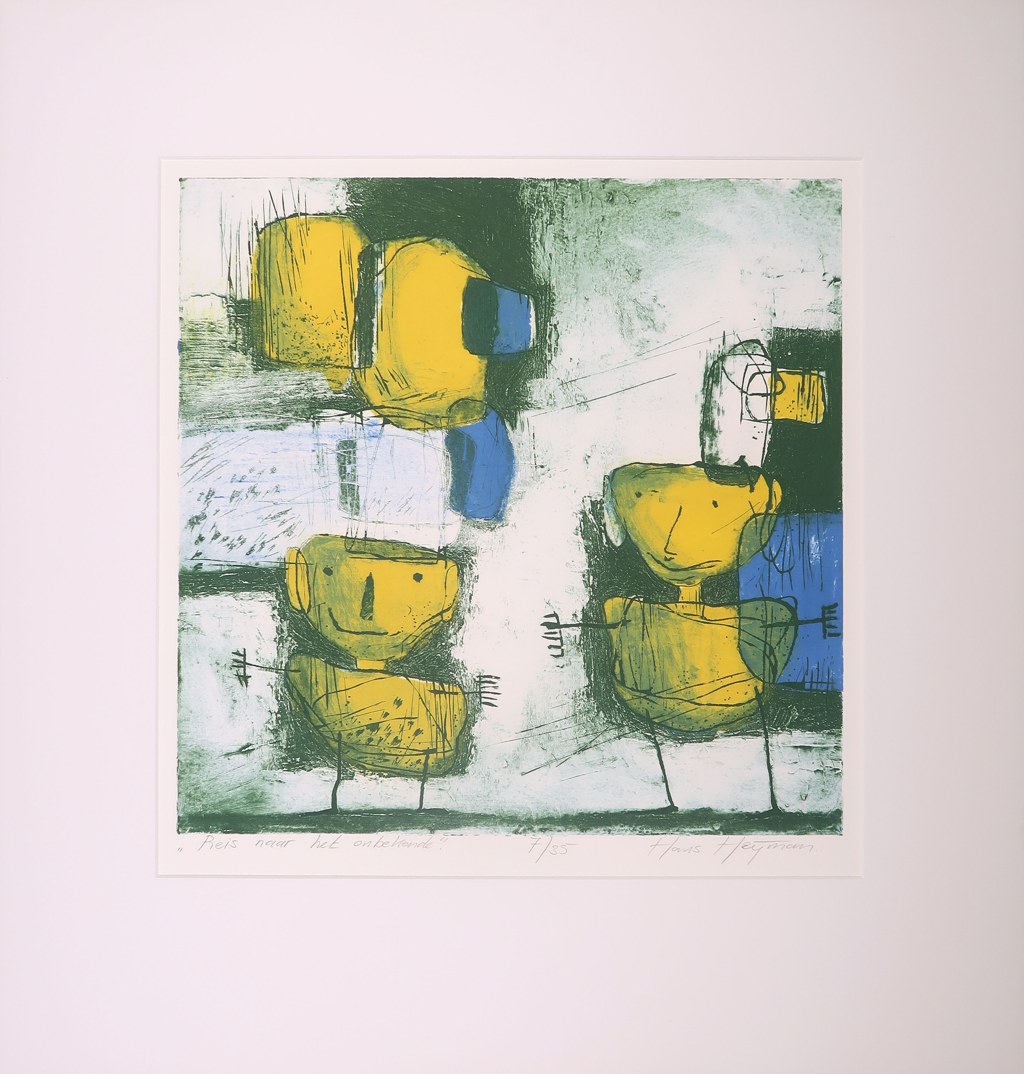 Hans Heijman - Kleurenets, Reis naar het onbekende kopen? Bied vanaf 1!