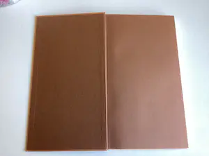 Rembrandt van Rijn - Etchings - boek kopen? Bied vanaf 50!