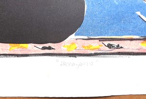 Liset van Laer - Titels: Wonderbare Visvanger - Droomprins kopen? Bied vanaf 1!