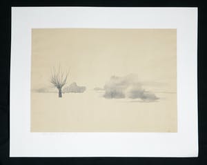 Wim de Bruin - Inkt en aquarel, Lek kopen? Bied vanaf 1!