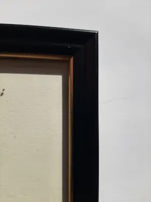 Jan Mankes - Originele Heliogravure , Aronskelken 1923 kopen? Bied vanaf 60!