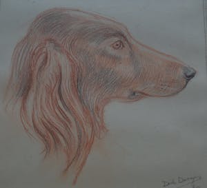 Dick Dooijes - zonder titel kopen? Bied vanaf 35!