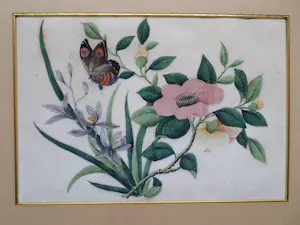 Niet of onleesbaar gesigneerd - Vlinder in bloemenpartij kopen? Bied vanaf 1!