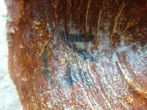 Jan van Stolk - zeldzame plastiek van een op de loer liggende kat kopen? Bied vanaf 145!