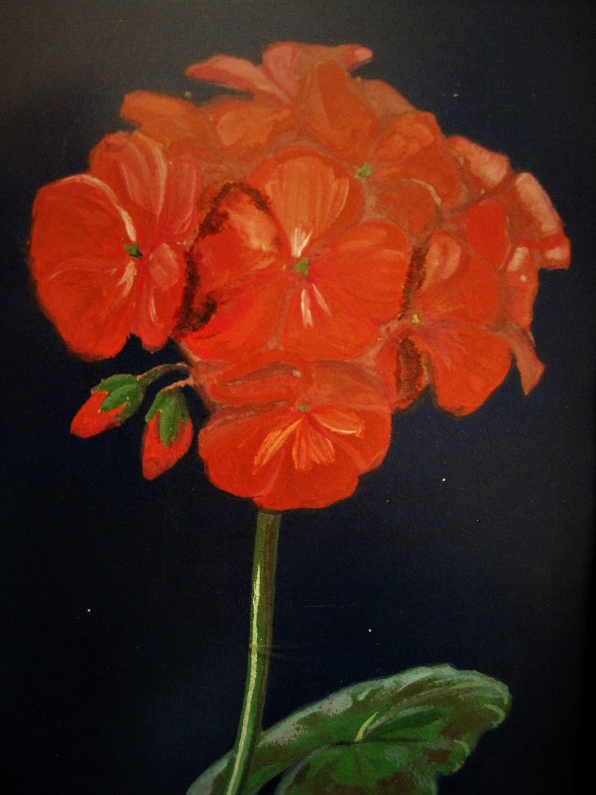Alberta Johanna Meijer-Smetz - Ingetogen ca. 1930 Gouache "Amaryllis" van bekende bloemenschilderes kopen? Bied vanaf 1!