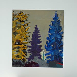 Hans Ebeling Koning - Naaldbomen kopen? Bied vanaf 50!