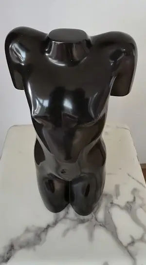 Eja Siepman van den Berg - Torsje 2021 - Brons - gesigneerd, genummerd en gedateerd -plus boek kopen? Bied vanaf 5200!