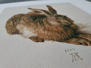 Albrecht Durer - Een jonge haas (op handgeschept papier) kopen? Bied vanaf 1!