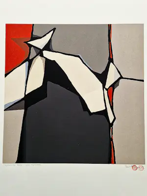 Fon Klement - Grote boardsnede "l'apparitino rouge" beperkte oplage (90) - nieuwstaat kopen? Bied vanaf 68!