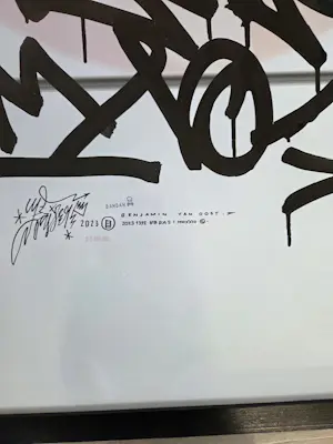 Benjamin Van Oost - colour the world kopen? Bied vanaf 995!