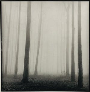 Ralph Janowski - zonder titel kopen? Bied vanaf 65!