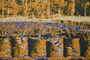 Cees Rijppaert - Plastic in the landscape IX # oplage 15, genummerd/gesigneerd kopen? Bied vanaf 15!