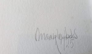 Maarten Beks - Zeefdruk - zonder titel - 14/25 - ingelijst kopen? Bied vanaf 1!