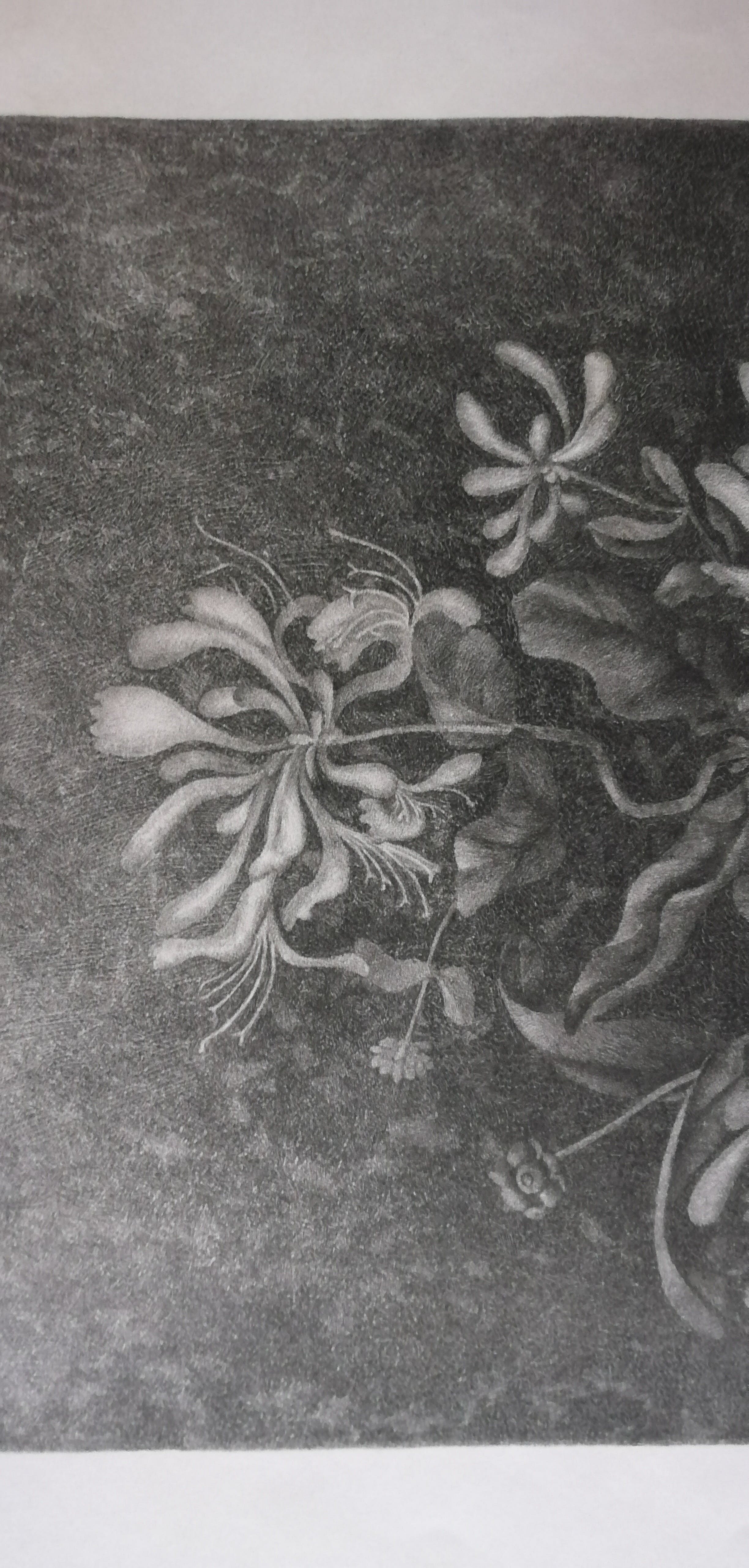 Johan Philip Christiaan Benner - Orchideeën in de nacht kopen? Bied vanaf 25!