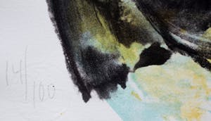 Jan Sierhuis - litho: Vrachtwagenchauffeur - 1995 kopen? Bied vanaf 70!